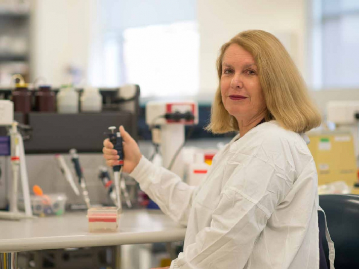 Researcher at the Women's