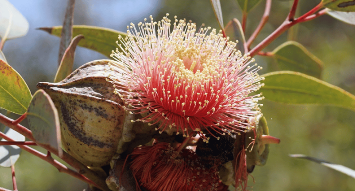 What is the purpose of this project?