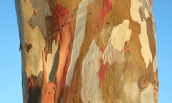 How will we support you to participate?