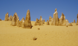 What are the benefits and risks?