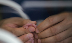 Melbourne researchers are to begin a major study that could result in a test to accurately predict if women will experience preterm labour d