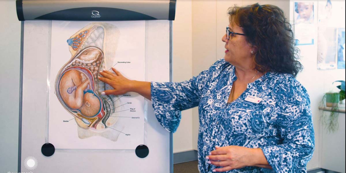 A midwife/childbirth educator pointing to a graphic which shows baby in womb 