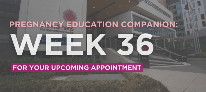 Pregnancy Education Companion: week 36