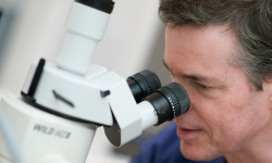 Our people - the Women’s Pregnancy Research Centre