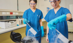 For many women, deciding whether to freeze their eggs can be difficult. The procedure involves hormone treatment, surgical procedures and on